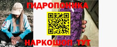крисы Мариинск